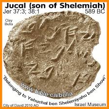 Jucal seal