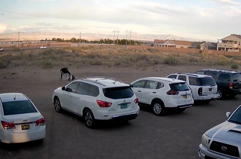 Murdered at church in Albuquerque Murdered at church in albuquerque