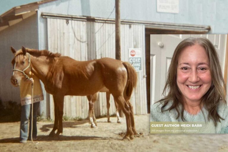 ‘There is no Heaven,’ her dad said. Then she went to Heaven Mmo 27 heidi barr cover