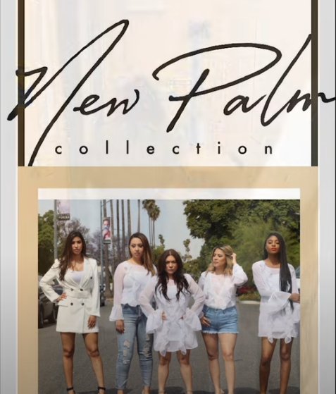 New Palm Collection
