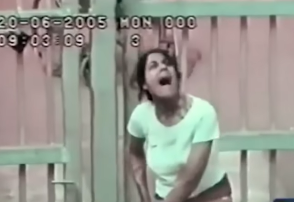 Screenshot 2025 11 30