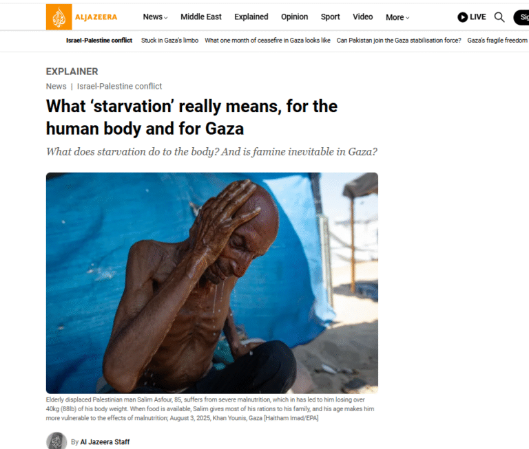 Screenshot 2025 12 01