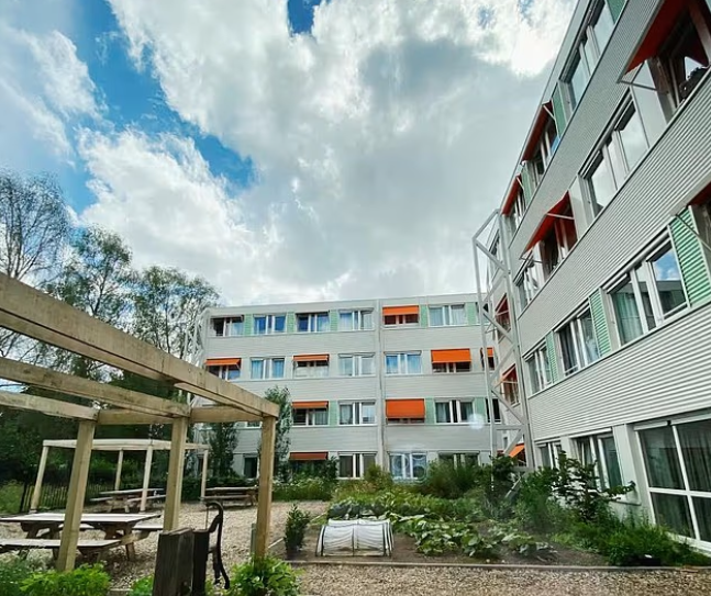 125 Muslim refugees, 125 Dutch students. What could possibly go wrong? Screenshot 2026 01 18